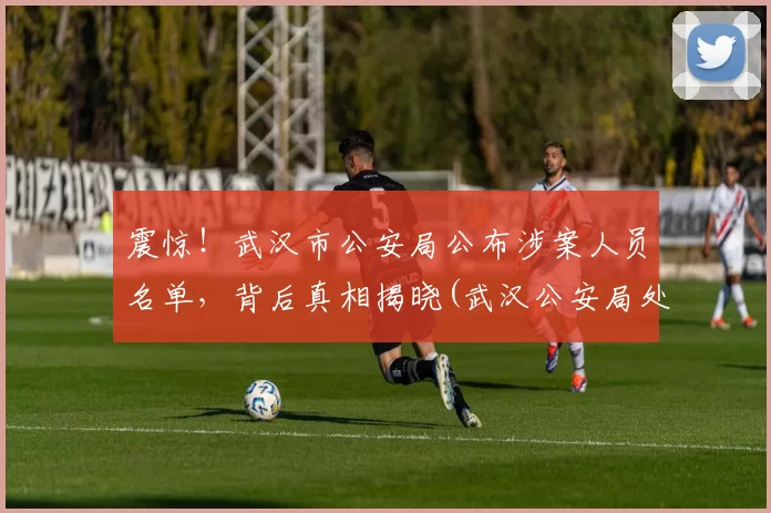 震惊！武汉市公安局公布涉案人员名单，背后真相揭晓(武汉公安局处理8人)