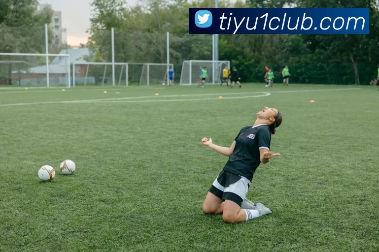 壹体体育平台生态图