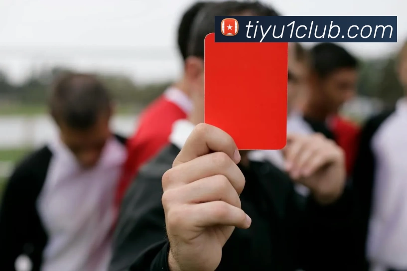 壹体体育全站App